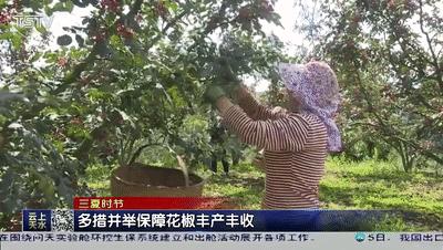 花椒直播的电脑端应用与实现探究，能否在电脑上进行直播？