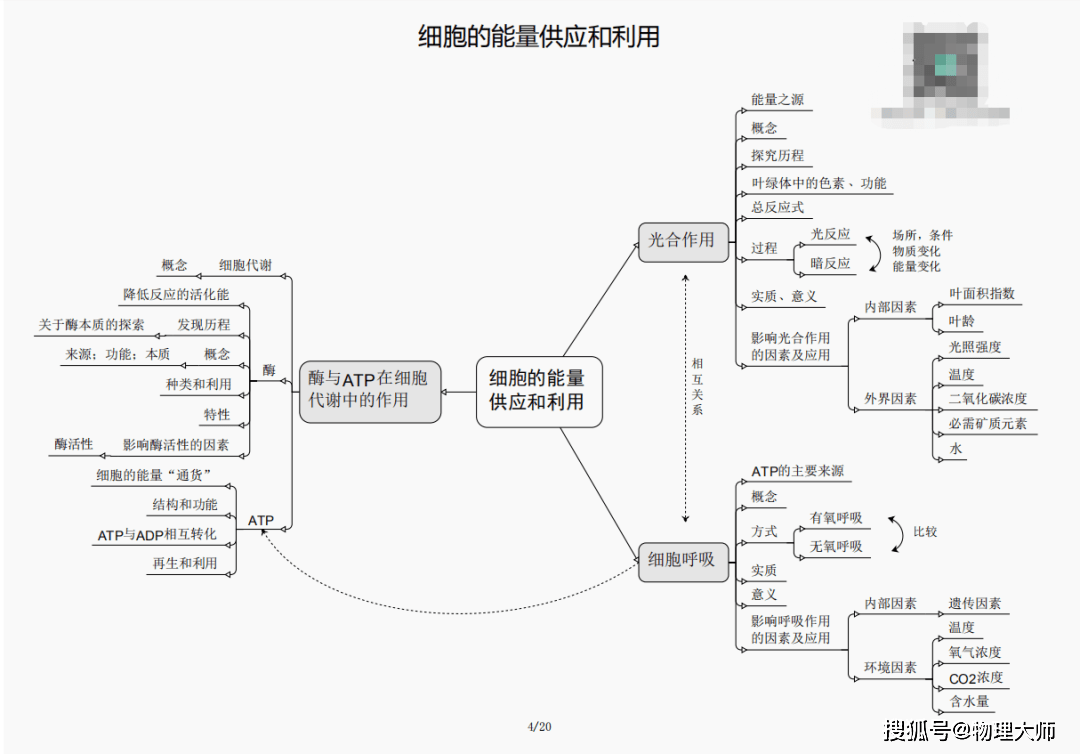 新澳门黄大仙三期必出——警惕网络赌博的违法犯罪风险