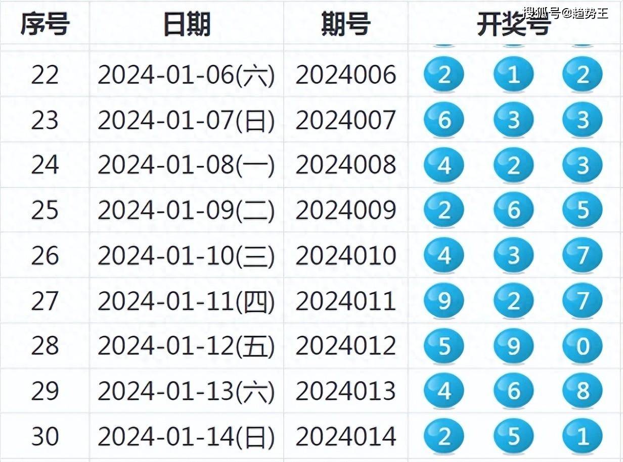 新澳2024年开奖记录详解